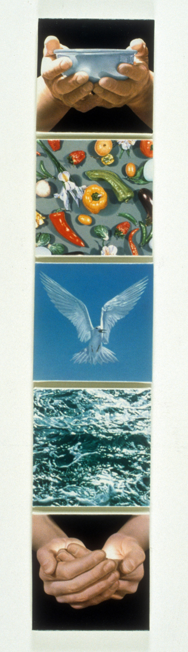 daphnis and chloe 1995 copy.jpg