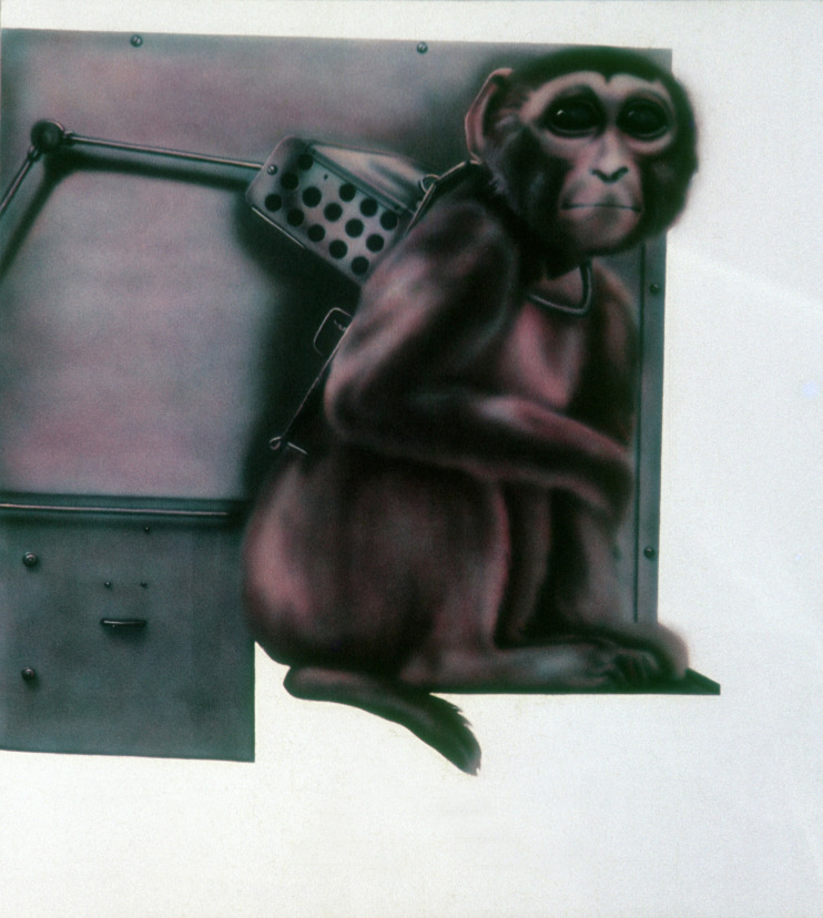 monkey 1969 copy.jpg
